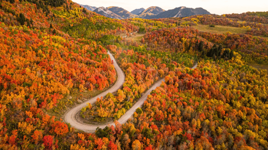 21 Best Places to See Fall Foliage in the United States